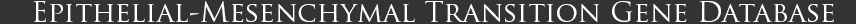 Epithelial-Mesenchymal Transition gene database