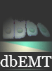 dbEMT